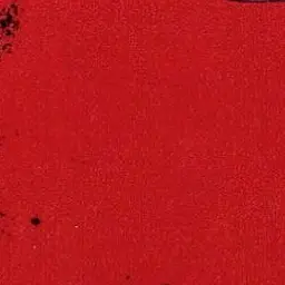 Profile image of 中也