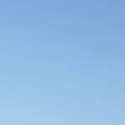 Profile image of 우디