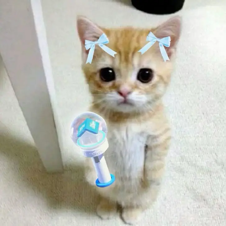 eiehjfkwp의 ㅇㅅㅎ