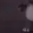 지호