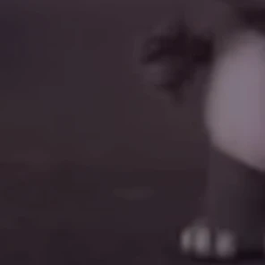 지호
