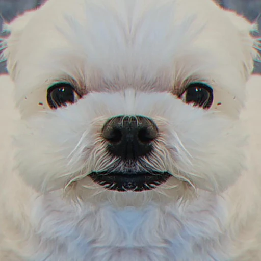 백한민