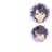 葉鳥