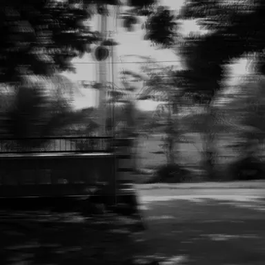 Profile image of 서라더