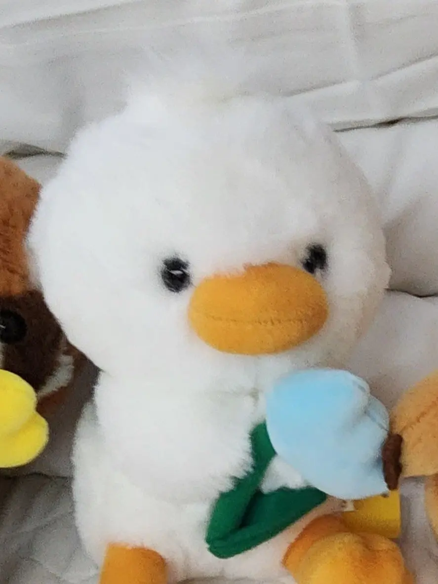 I_DONT_THINK_SOo의 포세이큰(+자캐)[글자수가 부족함ㅠ]