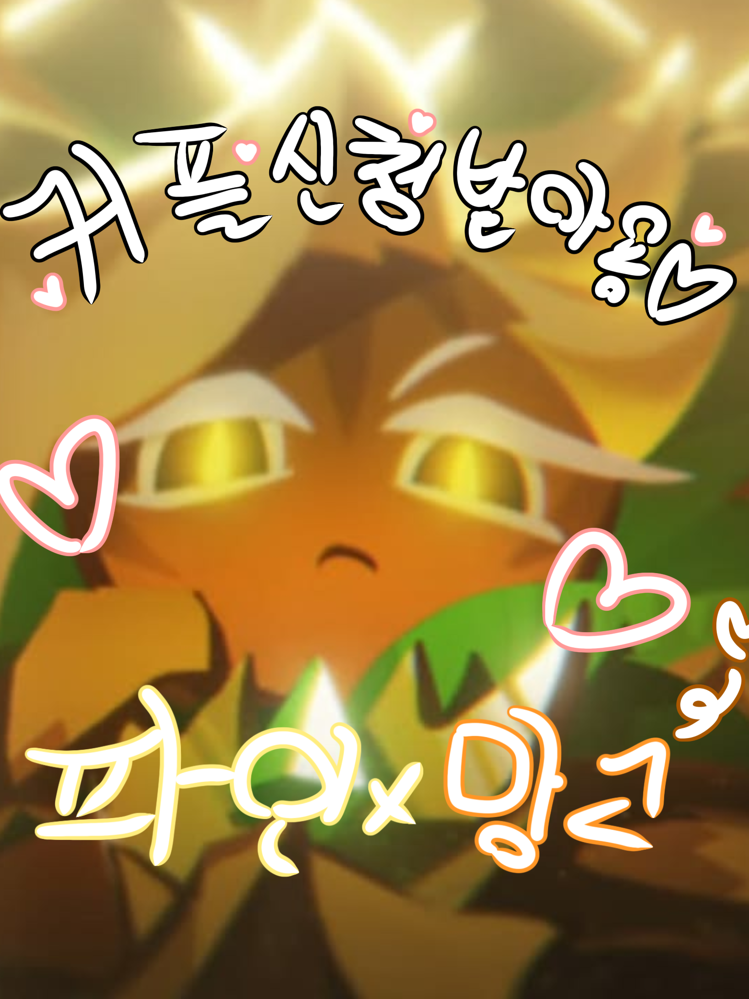 🧡{ 파인드래곤🍍 }💛 대표 이미지