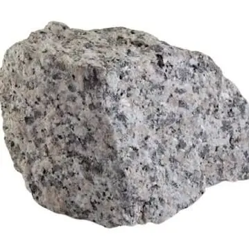 Profile image of 돌