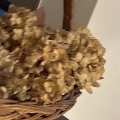 Profile image of 藤澤　涼架