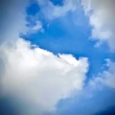 Profile image of 아이엔