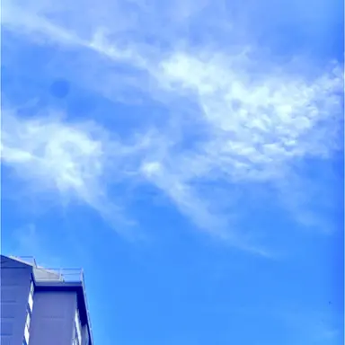Profile image of 필릭스