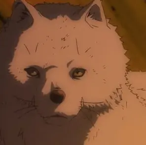 Profile image of 조안