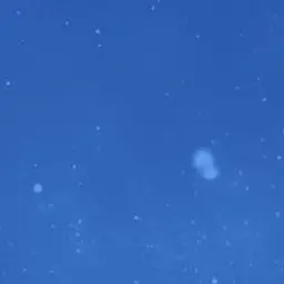 Profile image of 渡辺翔太