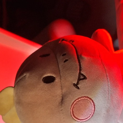 꽃순이
