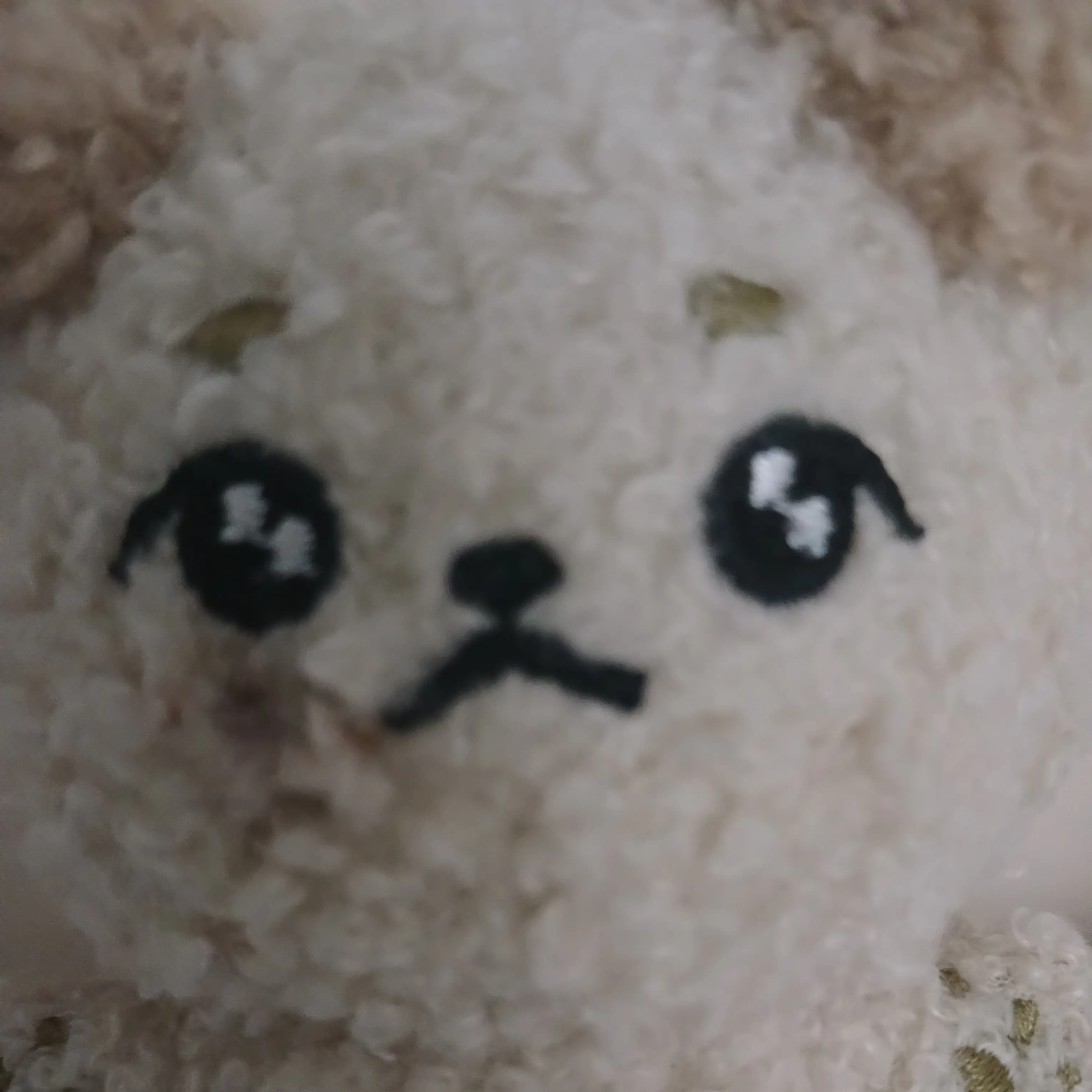 OldHorgi8140의 강아지