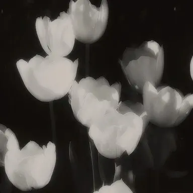 Profile image of 우융