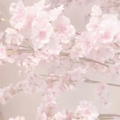 Profile image of 선하