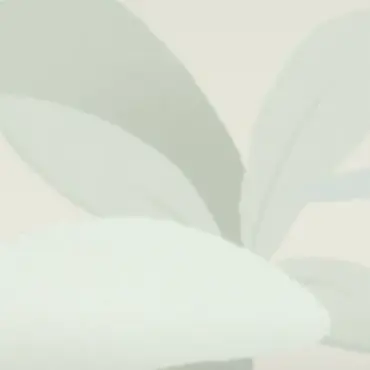 Profile image of 藤澤涼架