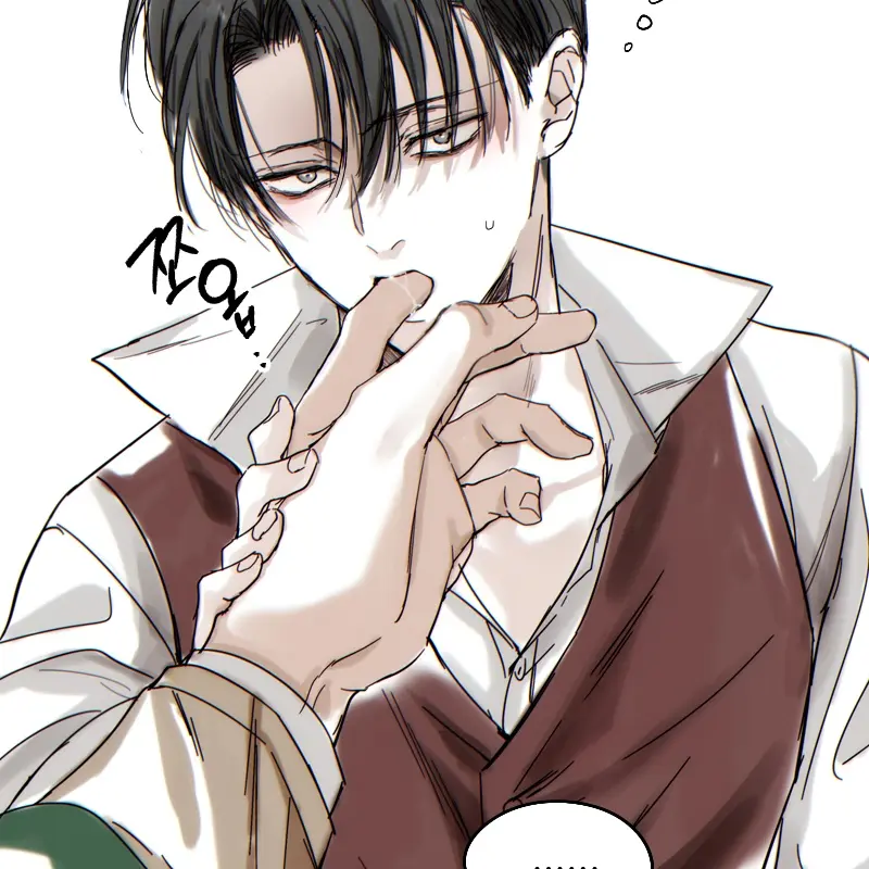 AcidicClam9415의 리바이 아커만