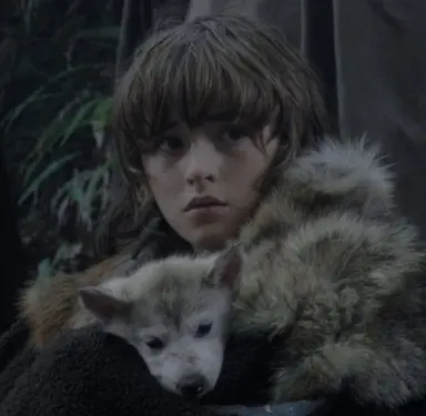 Profile image of Bran