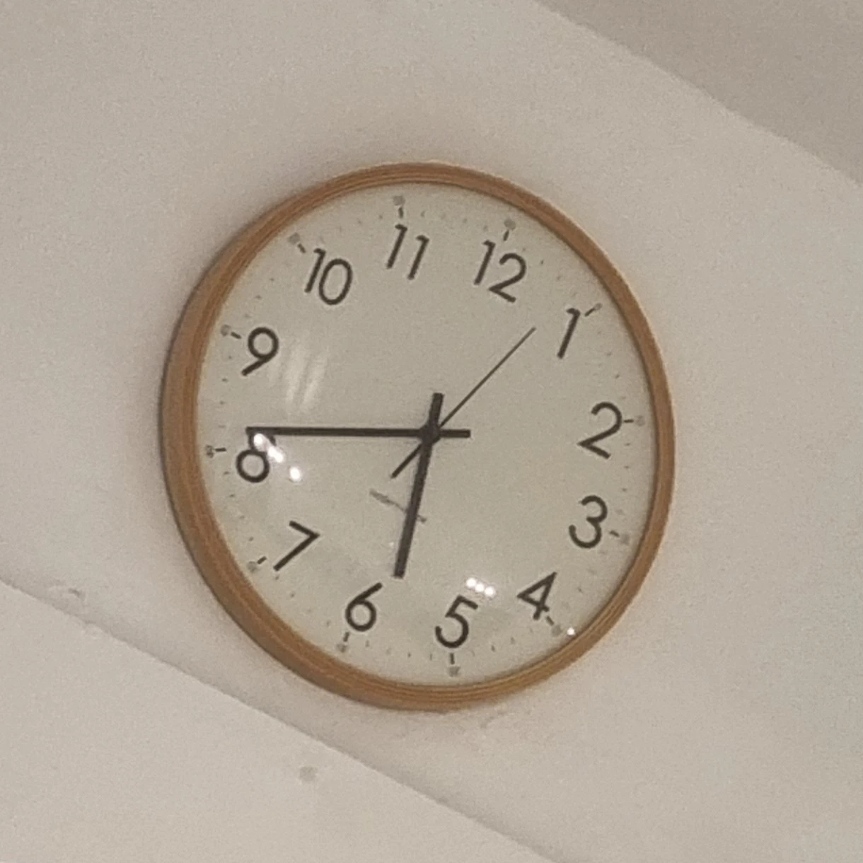 바다조 1찐