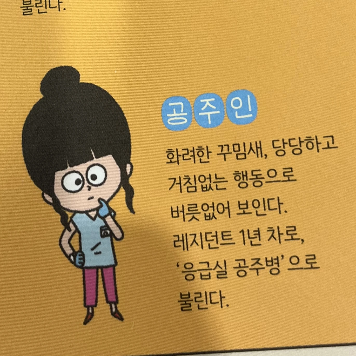 공주인