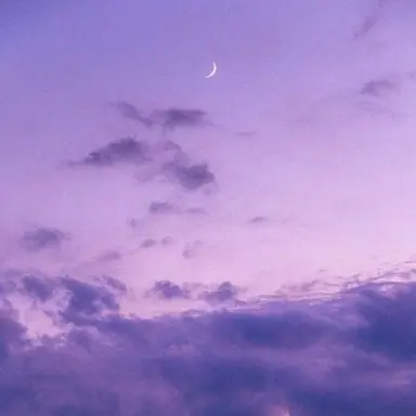 Profile image of 멜로우