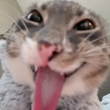 Profile image of 황예린