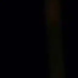 Profile image of ㅁㅈㅎ