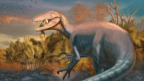 Profile image of 약탈자