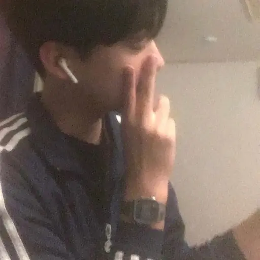 mistral1101의 김진수