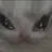 지은