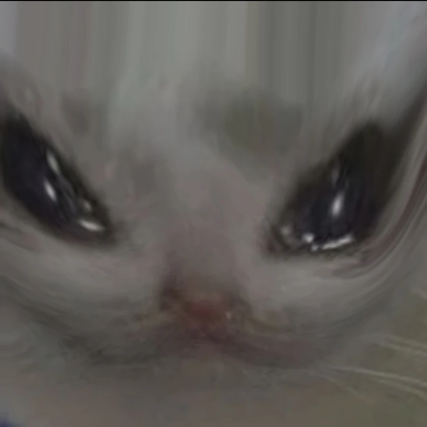 지은