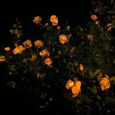 Profile image of 각별
