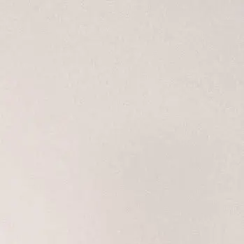 Profile image of 若井滉斗