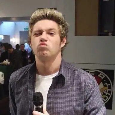 Profile image of niall horan
