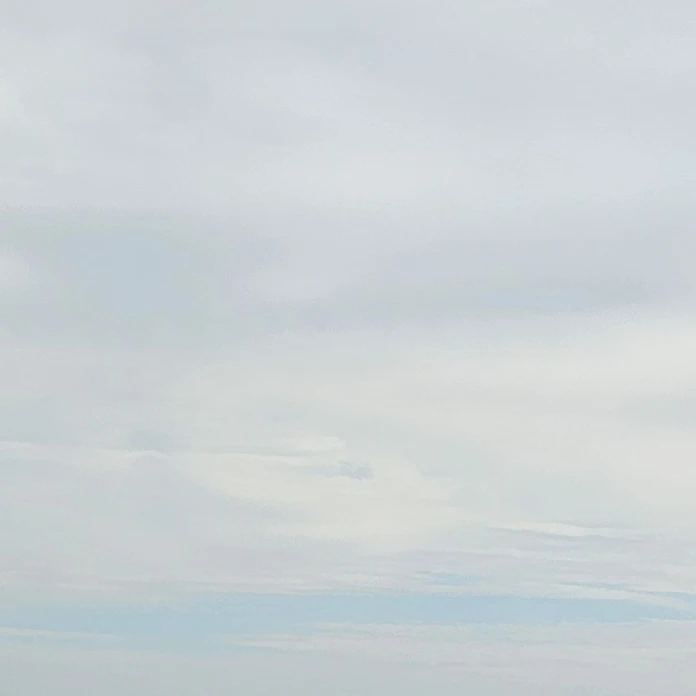 부모님