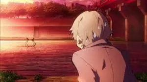 SureCat2226의 BSD x MHA