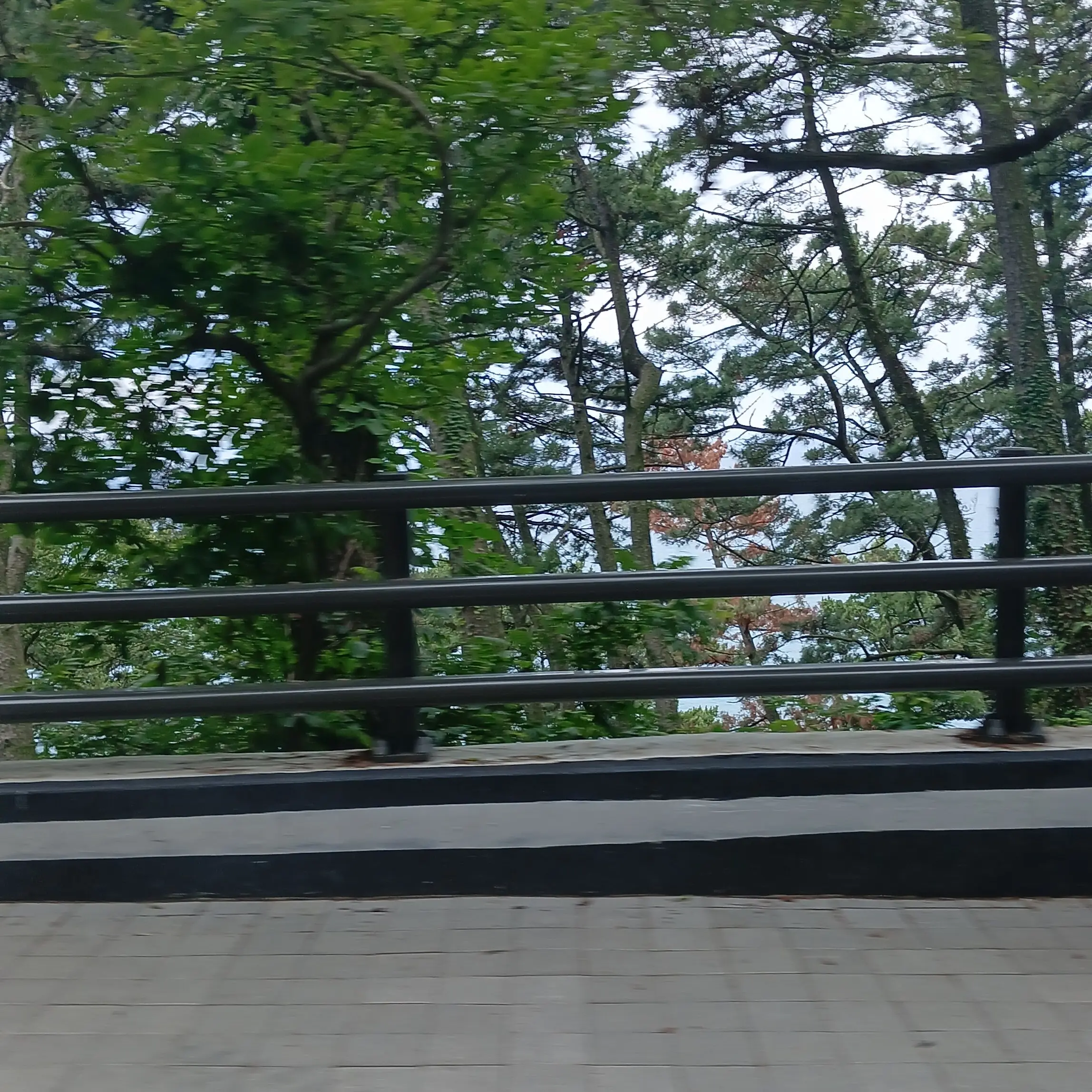 FieryLaugh9108의 프로필 그려드립니다