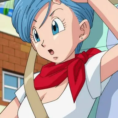 Profile image of ブルマ