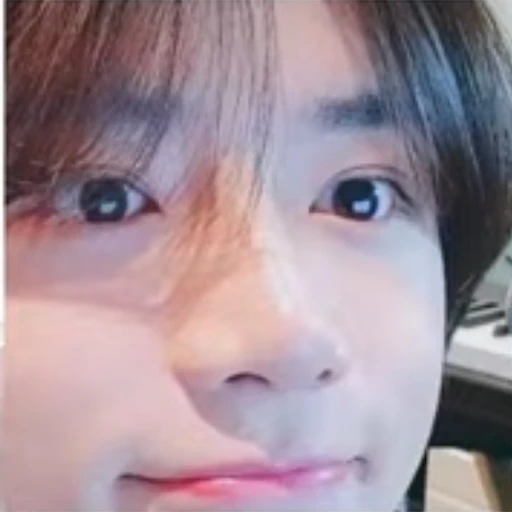 범규