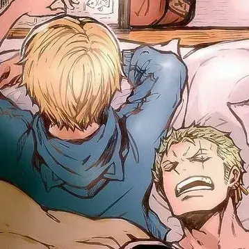 UglyCord1327의 Zoro x Sanji
