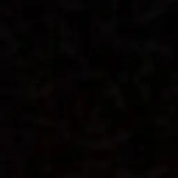 01txt01의 최수빈