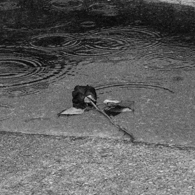 Profile image of 한 소 희