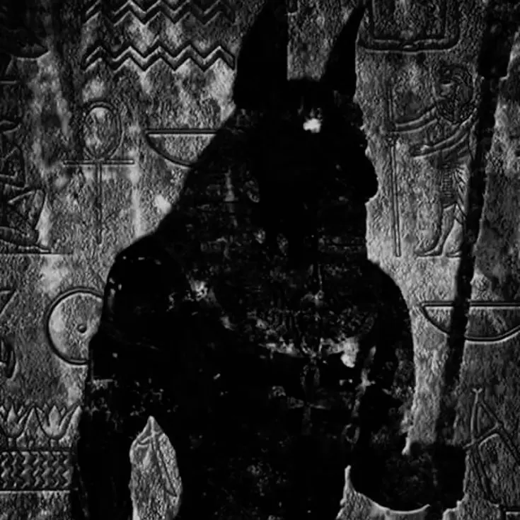 wktkftlehgotdjdy의 𓇋𓈖𓊪𓅱𓁢