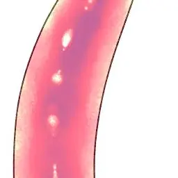 Profile image of 国見英