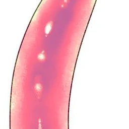 国見英