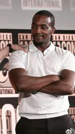 Profile image of Anthony Mackie