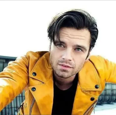 Profile image of Sebastian Stan
