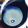 Profile image of 異世界