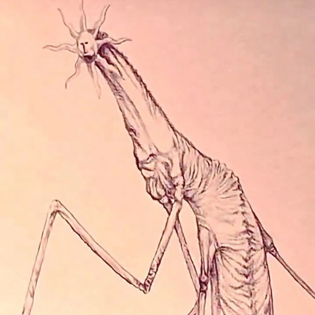 Sunman 대표 이미지